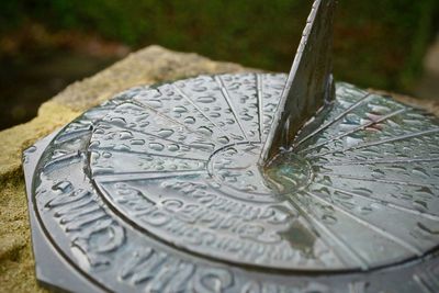 Close-up view of leaf