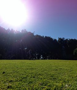 Scenic view of field against bright sun