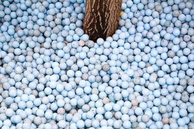 High angle view of tree amidst balls