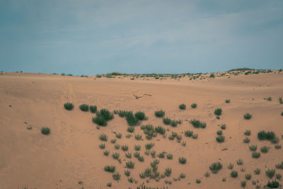 Scenic view of desert against sky