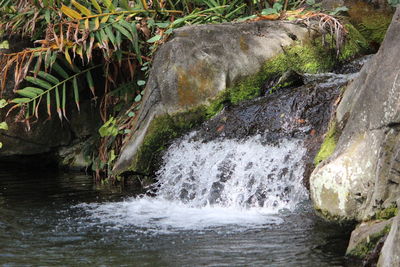 Scenic view of waterfall