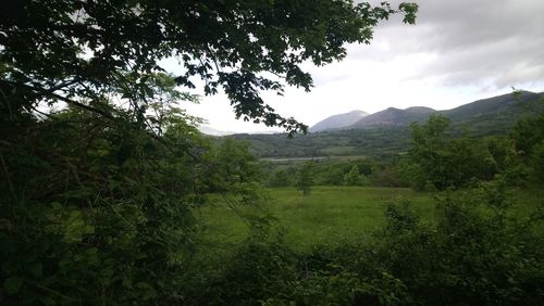 Scenic view of landscape against sky