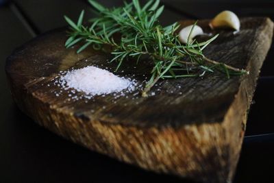 Close-up of salt with rosemary and garlic