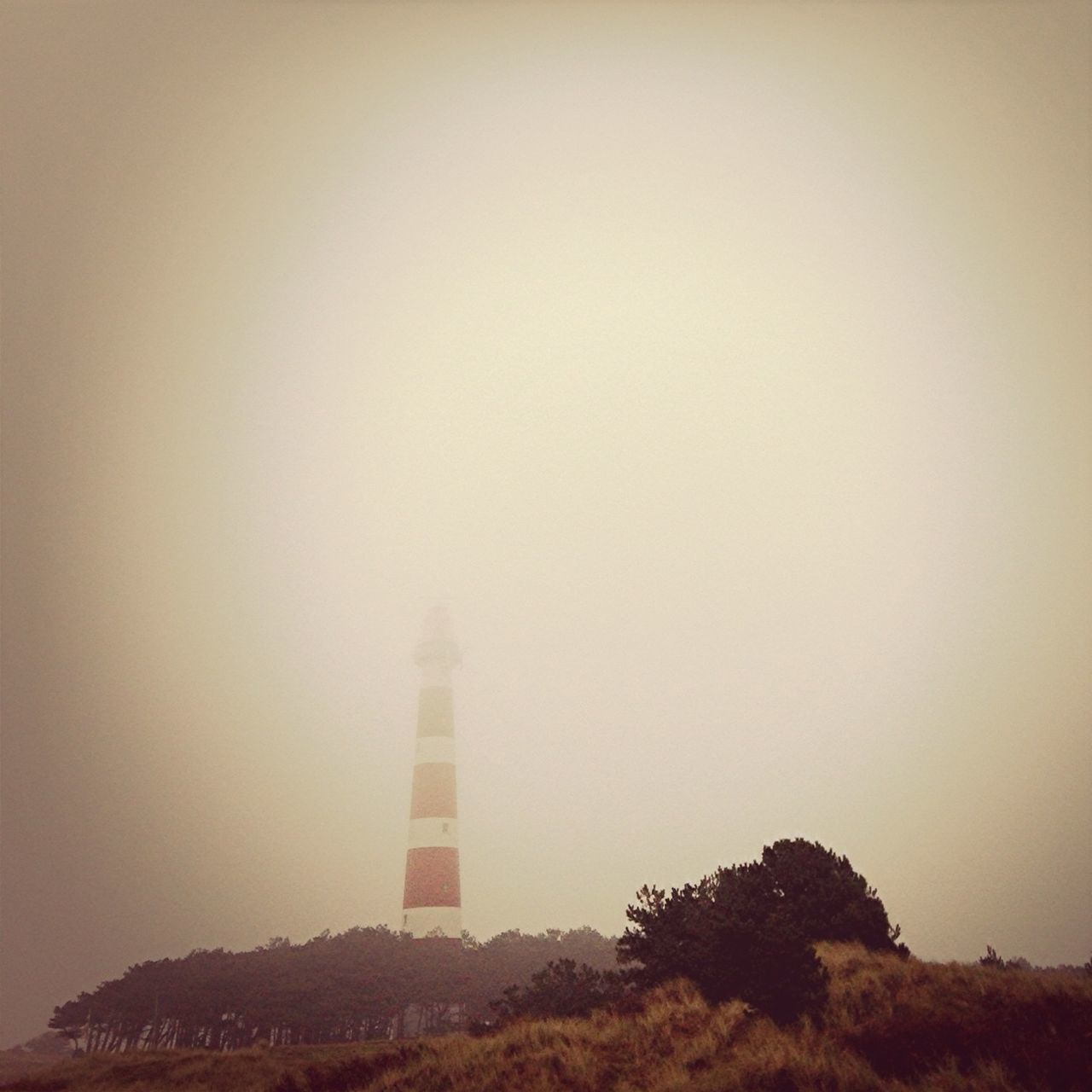 architecture, built structure, building exterior, copy space, tower, clear sky, low angle view, tall - high, tree, famous place, foggy, lighthouse, religion, communications tower, travel destinations, outdoors, no people, sky, guidance