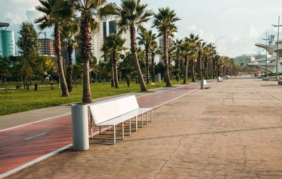 Footpath amidst palm trees in city against sky