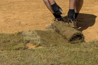 Low section of man standing on field