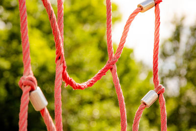 Close-up of red ropes hanging at playground