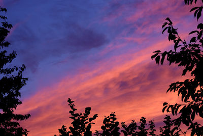 Low angle view of silhouette trees against sky at sunset