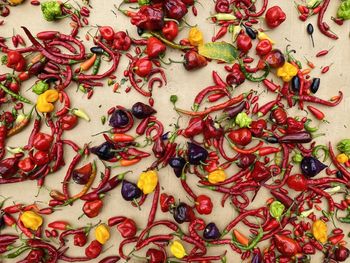 High angle view of chili peppers