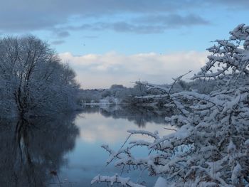 Scenic view of trees against sky during winter