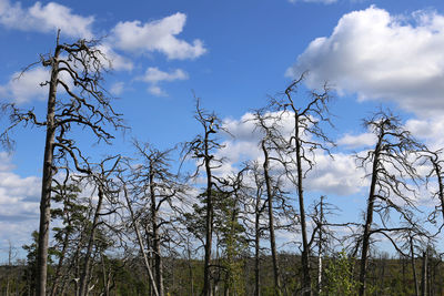 Low angle view of bare trees on field against cloudy sky