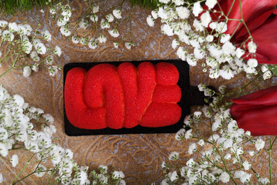 High angle view of red rose on rock
