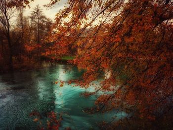 Reflection of trees in lake during autumn