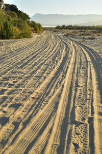 Tire tracks on dirt road