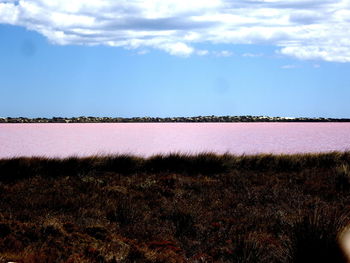 Scenic view of field against sky