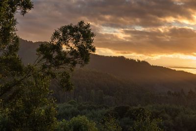 Scenic view of landscape against sky during sunset