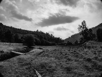 Scenic view of landscape against sky