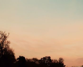 Low angle view of silhouette trees against sky at sunset