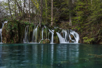 View of waterfall in forest