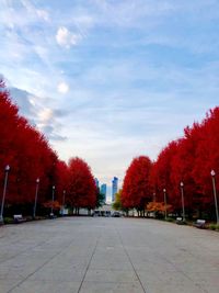 Footpath amidst trees in park against sky