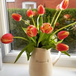 Close-up of red tulips in vase on table