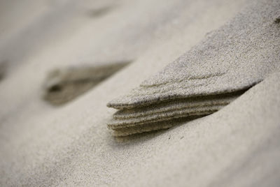 Detail shot of bread on table