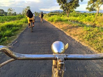 Rear view of horse riding bicycle on road
