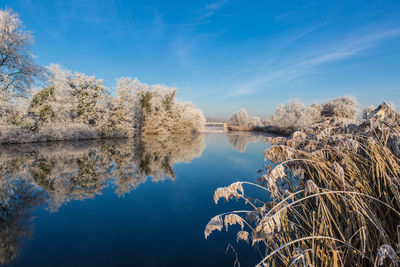 Reflection of trees in lake against blue sky