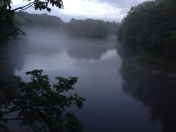 Reflection of trees in lake