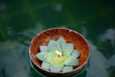 High angle view of flower floating on water