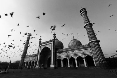 Low angle view of birds flying by jama masjid against sky