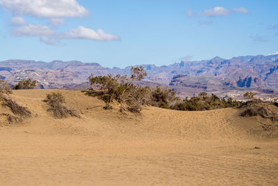 Scenic view of desert against blue sky