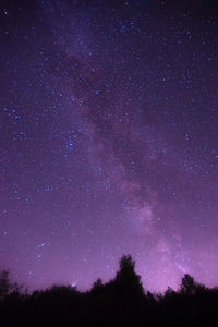 Low angle view of silhouette trees against star field at night