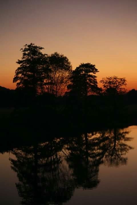 sunset, tree, water, tranquil scene, tranquility, silhouette, scenics, reflection, lake, beauty in nature, waterfront, nature, orange color, idyllic, sky, river, clear sky, calm, dusk, non-urban scene