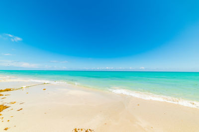 Scenic view of beach against blue sky