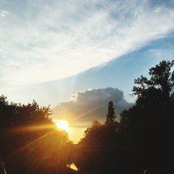 Sun shining through trees