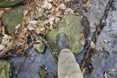 Low section of man standing on autumn leaves