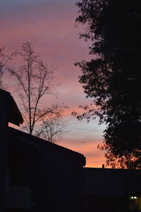 Low angle view of silhouette tree against sky