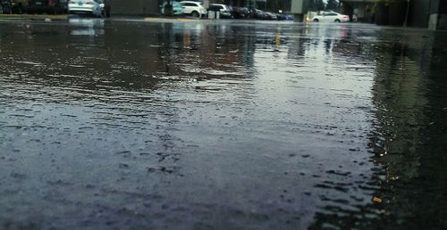Reflection of trees in water