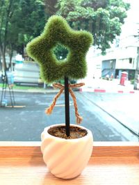 Close-up of potted plant on table