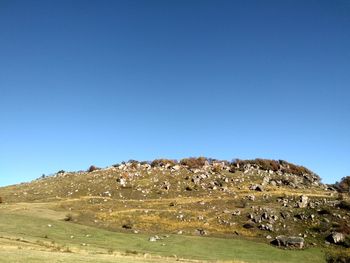 Scenic view of landscape against clear blue sky