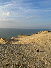 land