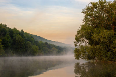 Scenic view of foggy river by trees against sky during early morning summer sunrise