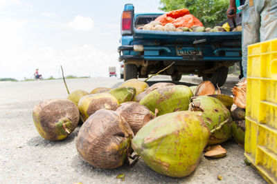Coconuts on street market for sale