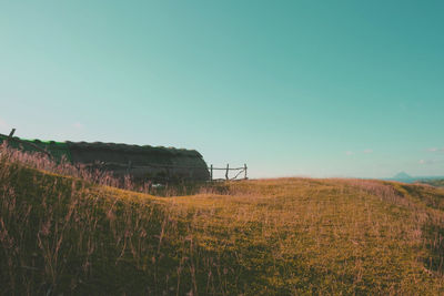 Scenic view of field against clear sky