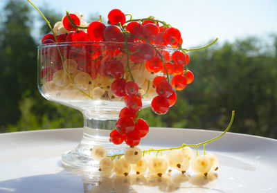 Close-up of red berries on glass table