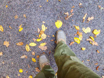 Legs in high boots walk on asphalt road with yellow leaves. green trousers on legs