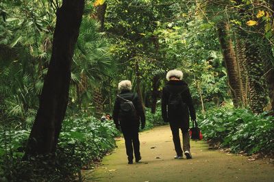 Rear view of women walking in forest