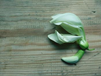 High angle view of vegetables on table