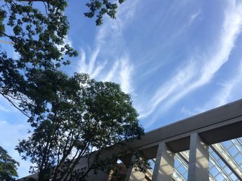 Low angle view of trees against sky